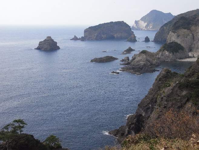 海。